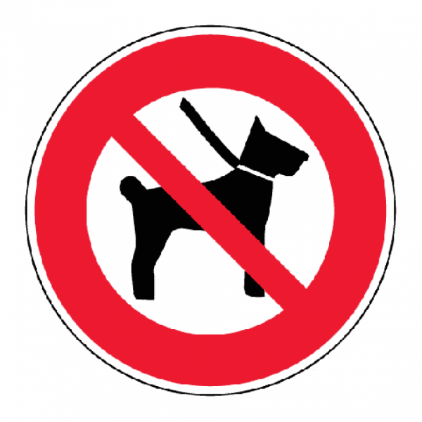 B Iso 2 - Interdiction d'accès aux chiens même en laisse